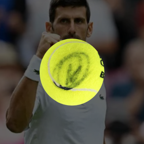 Novak Djokovic Signed Tennis Ball