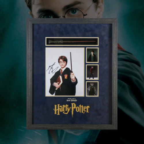 Daniel Radcliffe Signed Harry Potter Display